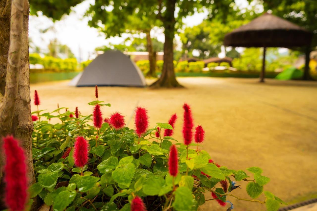 Raio De Sol Pousada & Camping Abraão Dış mekan fotoğraf